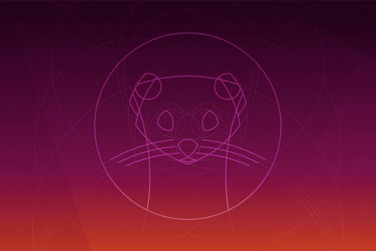 Ubuntu 20.04 LTS has arrived!
